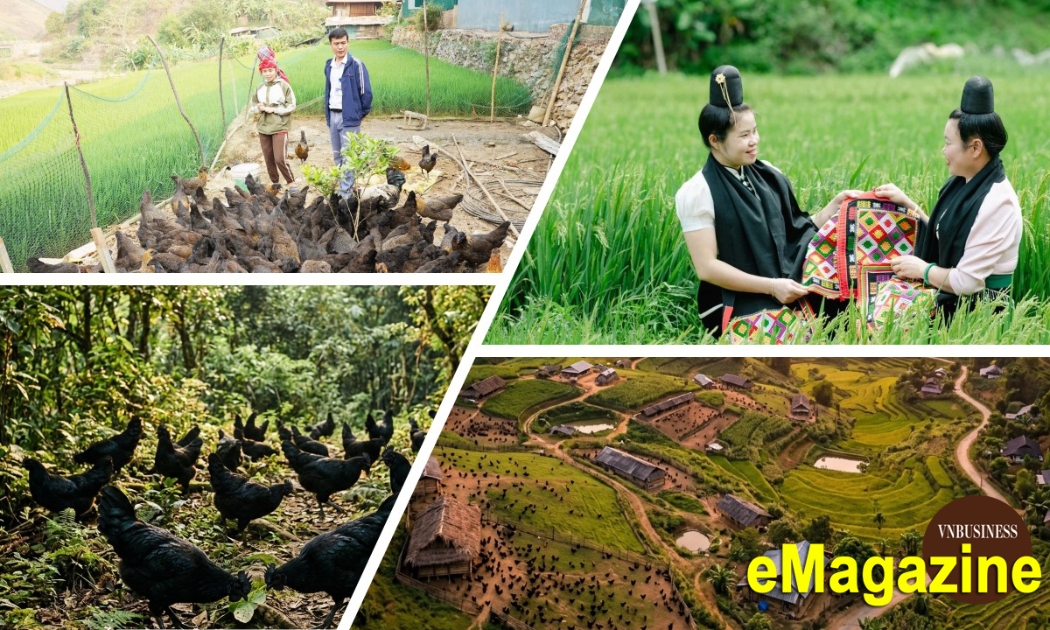 Từ câu chuyện của nữ giám đốc HTX trẻ ở vùng cao Sơn La đến cánh cửa bước vào thị trường lớn