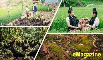 Từ câu chuyện của nữ giám đốc HTX trẻ ở vùng cao Sơn La đến cánh cửa bước vào thị trường lớn