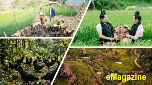 Từ câu chuyện của nữ giám đốc HTX trẻ ở vùng cao Sơn La đến cánh cửa bước vào thị trường lớn