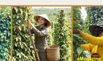 Từ vàng đen ở Tây Nguyên đến chuyện liên kết sản xuất và chinh phục thị trường bằng tài sản trí tuệ