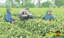 Sở hữu trí tuệ –
