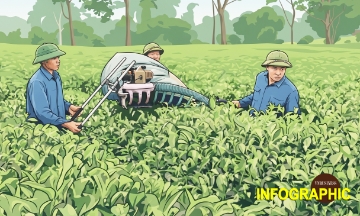 Sở hữu trí tuệ –