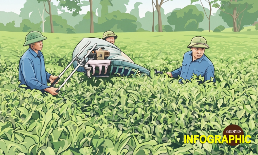 Sở hữu trí tuệ –