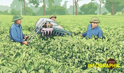 Sở hữu trí tuệ –