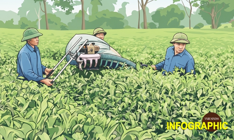 Sở hữu trí tuệ –