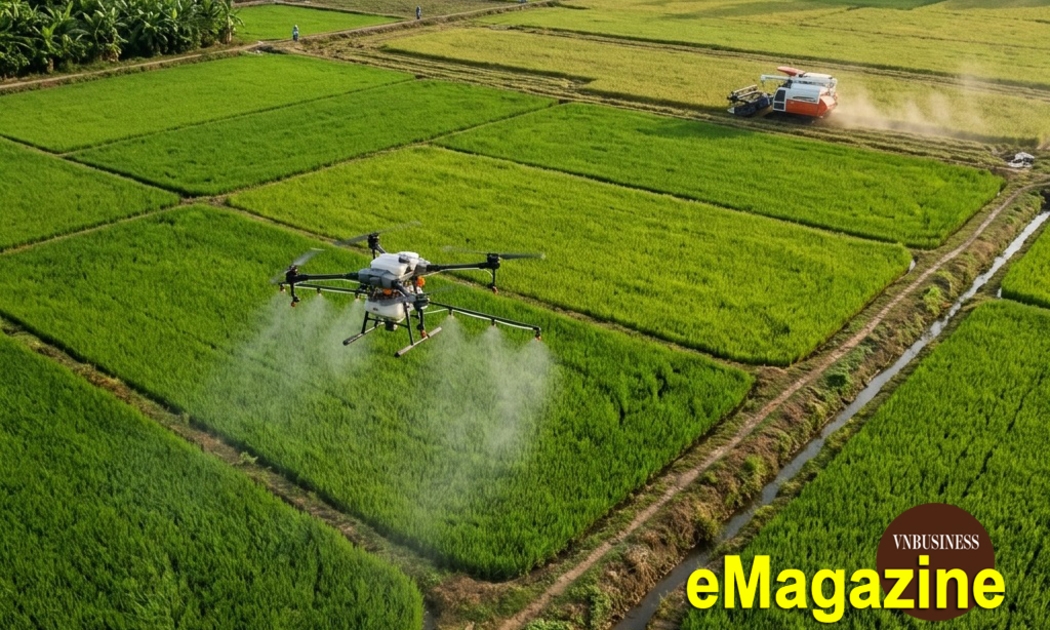 Bước ngoặt từ những cánh đồng công nghệ cao đến vùng cà phê hữu cơ ở Lâm Đồng