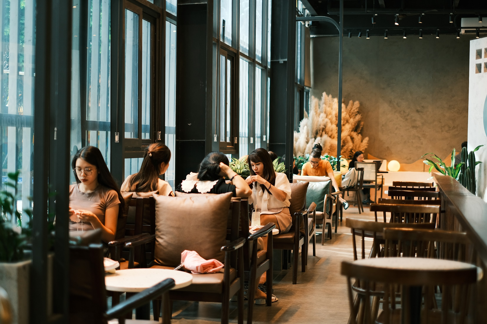 Không gian quán cà phê thay đổi vì nỗi lo bản quyền.