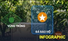 Cần Thơ thúc đẩy sở hữu trí tuệ, nâng sức cạnh tranh cho HTX