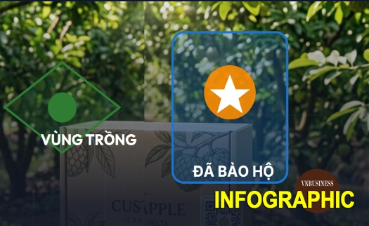 Cần Thơ thúc đẩy sở hữu trí tuệ, nâng sức cạnh tranh cho HTX