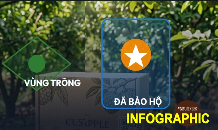 Cần Thơ thúc đẩy sở hữu trí tuệ, nâng sức cạnh tranh cho HTX