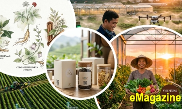 Bước chuyển tư duy giúp HTX ở Đà Nẵng thắng lớn trên cánh đồng công nghệ cao