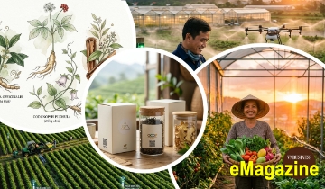 Bước chuyển tư duy giúp HTX ở Đà Nẵng thắng lớn trên cánh đồng công nghệ cao