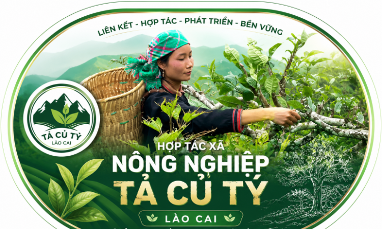 Đánh thức