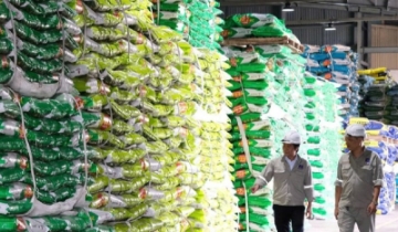 Cổ phiếu phân bón: Hưng phấn ngắn, thử thách dài?