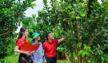 Agribank tăng vốn gần 30.000 tỷ đồng, củng cố vai trò ngân hàng chủ lực