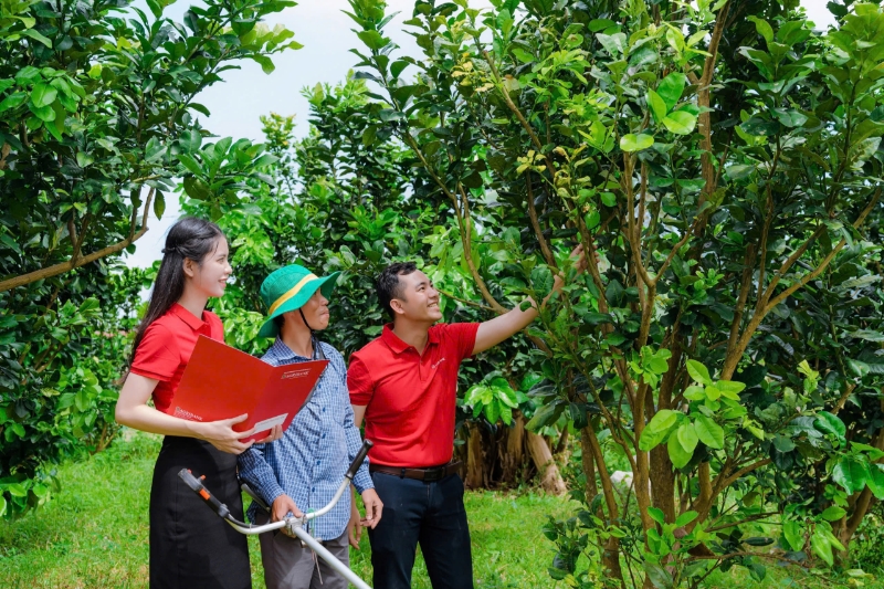 Agribank tăng vốn gần 30.000 tỷ đồng, củng cố vai trò ngân hàng chủ lực