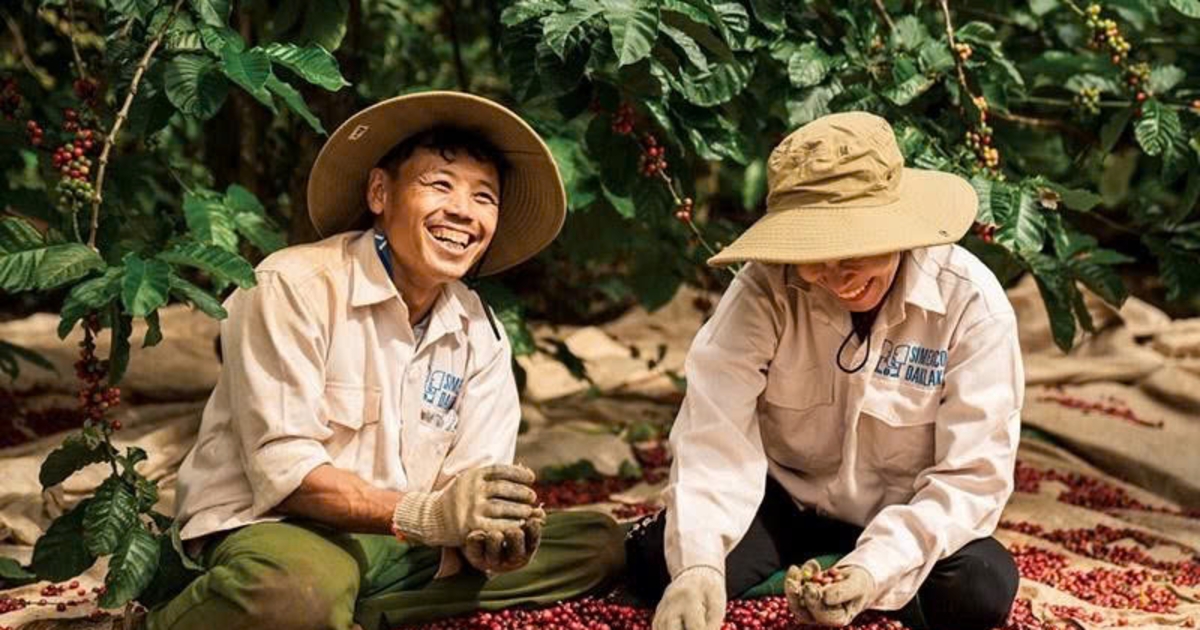 Thách thức cung - cầu, giá cà phê nội địa chịu áp lực lớn