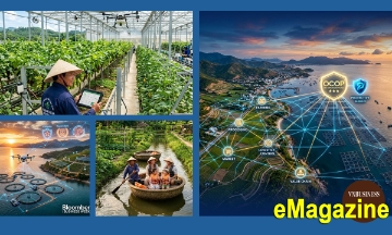 “Chìa khóa” để HTX ở Khánh Hòa bứt phá trong chuỗi giá trị