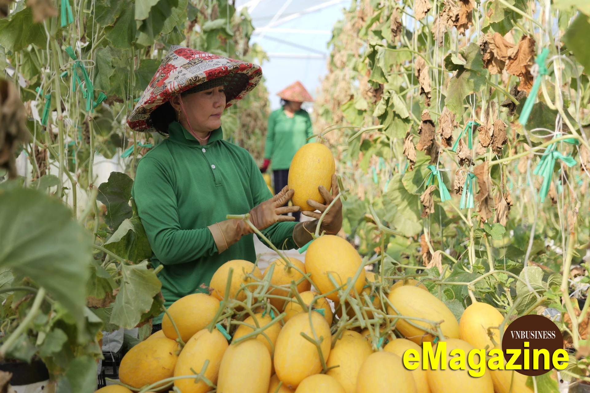 Tem truy xuất QR và bảo hộ thương hiệu