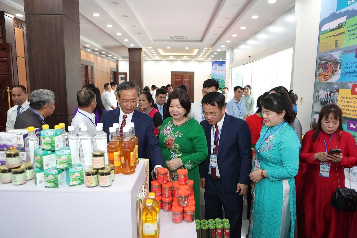 Các đại biểu tham quan gian hàng của các HTX.