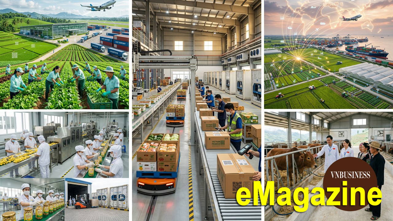 HTX làm 'đầu tàu' nâng tầm nông sản, mở cánh cửa hội nhập