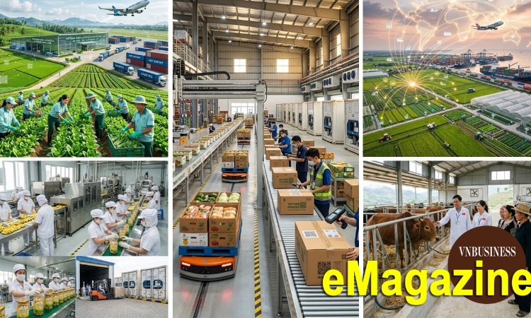 HTX làm đầu tàu nâng tầm nông sản, mở cánh cửa hội nhập