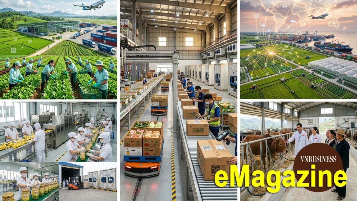 HTX làm 'đầu tàu' nâng tầm nông sản, mở cánh cửa hội nhập