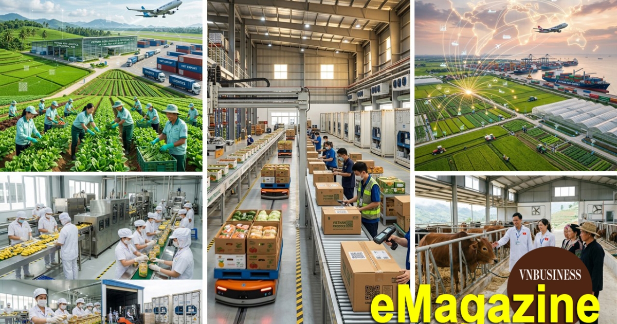 HTX làm “đầu tàu” nâng tầm nông sản, mở cánh cửa hội nhập