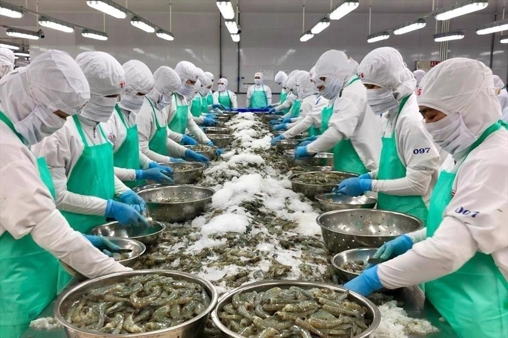 Ngành thủy sản Việt Nam đang tiếp tục kiến nghị phía Mỹ xem xét miễn trừ đối với một số nhóm sản phẩm xuất khẩu chủ lực sang thị trường này.