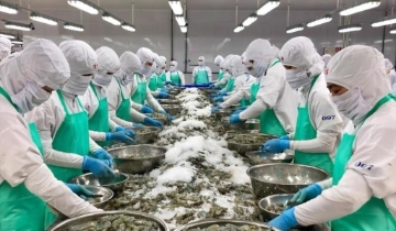 Đề xuất thuế 12,5% từ Mỹ: Đã đến lúc hàng Việt vượt cuộc chơi giá rẻ