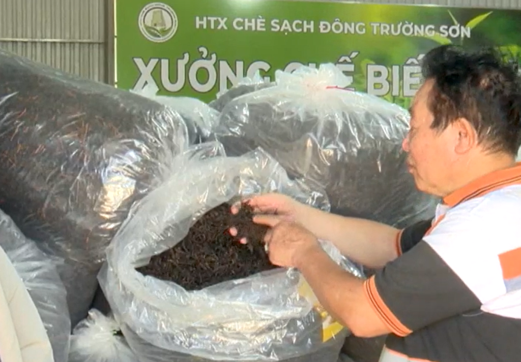 Sở hữu trí tuệ cùng truy xuất nguồn gốc đang trở thành nền tảng giúp HTX nâng sức cạnh tranh và đưa chè Kon Plông hướng đến những thị trường tiêu chuẩn cao.