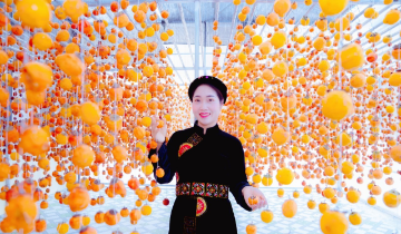 Luật Sở hữu trí tuệ sửa đổi mở cơ hội mới cho HTX xây dựng và bảo hộ thương hiệu
