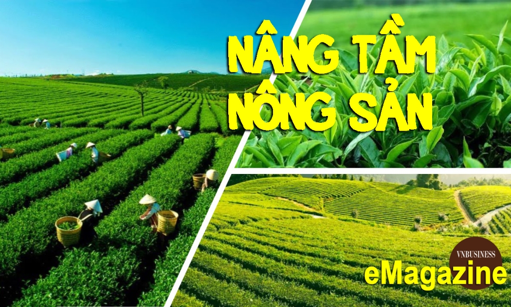HTX liên tục lớn mạnh, trở thành mắt xích nâng tầm nông sản ở Thái Nguyên