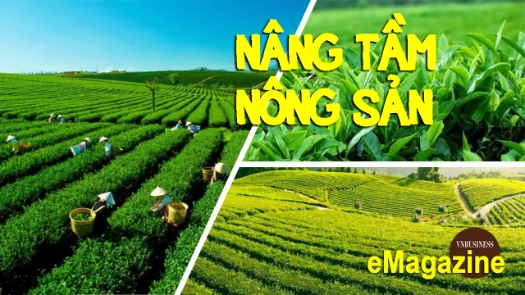 HTX liên tục lớn mạnh, trở thành mắt xích nâng tầm nông sản ở Thái Nguyên