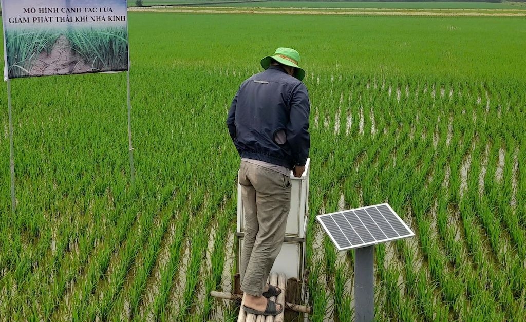 Số hóa dữ liệu sản xuất và quản lý vùng nguyên liệu trồng lúa đang giúp HTX nâng cao giá trị thương hiệu, đáp ứng yêu cầu của các thị trường xuất khẩu.