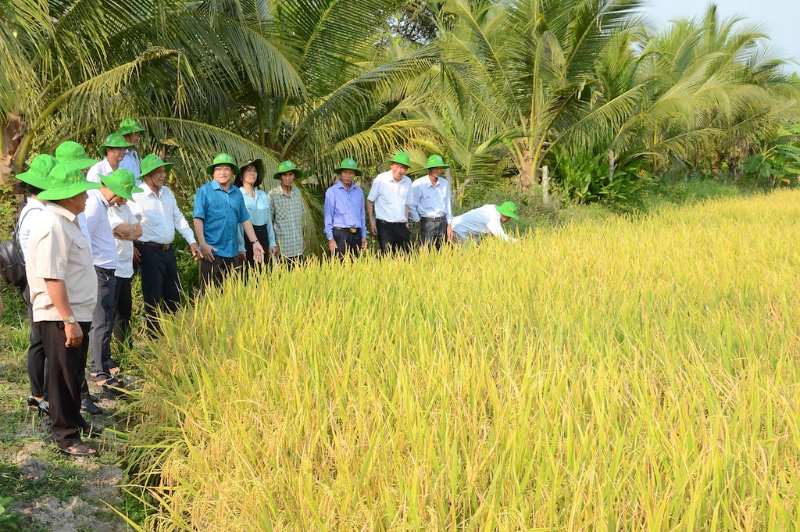 Khi HTX Gò Gòn đưa sở hữu trí tuệ và ‘hồ sơ số’ vào từng hạt gạo