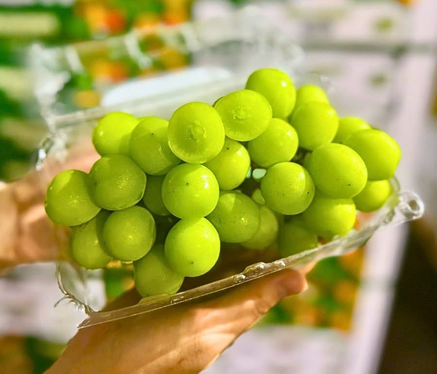 Phần lớn các sản phẩm trên thị trườngđều không có tem truy xuất, bằng mắt thường người mua khó có thể phân biệt.