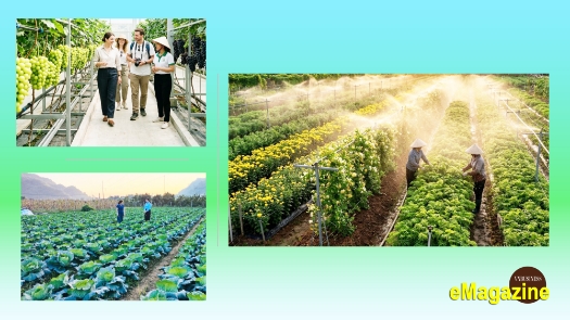 HTX liên kết sản xuất, mở đường kiếm bộn tiền cho nông dân