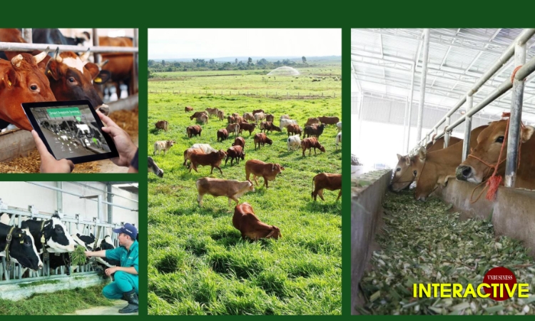 Giải bài toán được mùa mất giá nhìn từ câu chuyện của một HTX ở Thái Nguyên