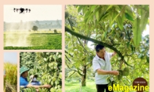Điểm tựa để HTX ở Đắk Lắk tăng tốc trên hành trình hội nhập