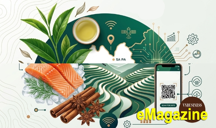 HTX ở Lào Cai “viết lại” giá trị nông sản bằng công nghệ và liên kết