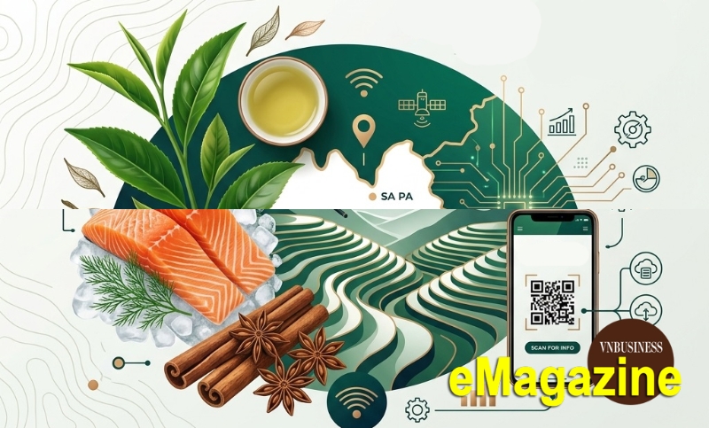 HTX ở Lào Cai 'viết lại' giá trị nông sản bằng công nghệ và liên kết chuỗi