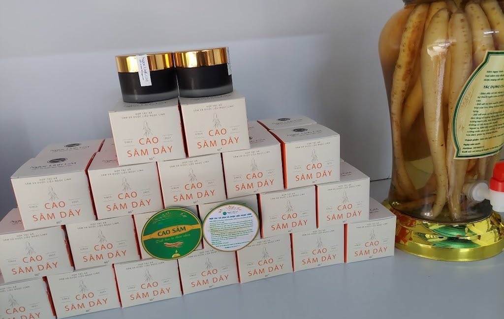 Các sản phẩm chế biến từ sâm Ngọc Linh được đầu tư tem nhận diện, mã QR và chỉ dẫn địa lý. Điều này giúp HTX bảo vệ thương hiệu, phòng chống hàng giả và tăng sức cạnh tranh trên thị trường.