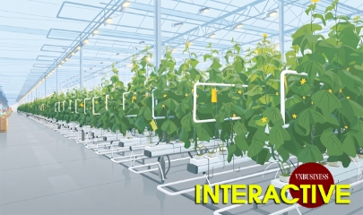 Hình thành hộ chiếu số cho sản phẩm HTX và nông sản Việt