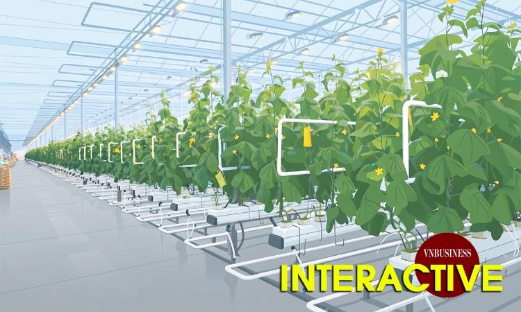 Hình thành hộ chiếu số cho sản phẩm HTX và nông sản Việt