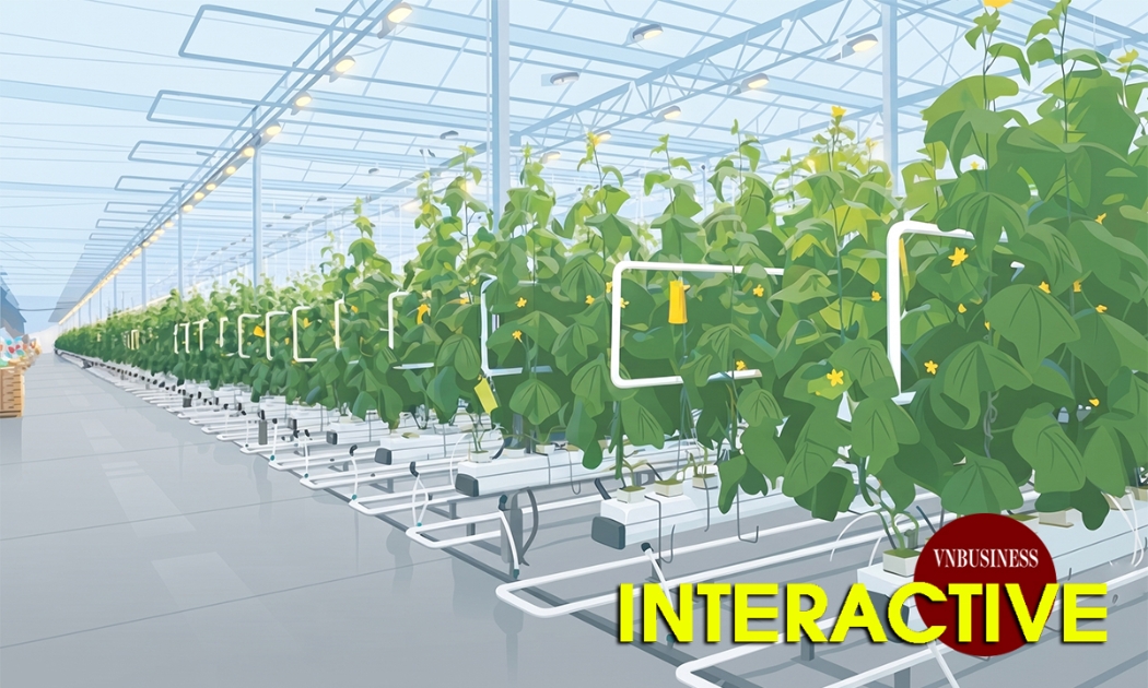 Hình thành hộ chiếu số cho sản phẩm HTX và nông sản Việt