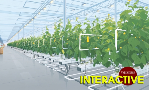 Hình thành hộ chiếu số cho sản phẩm HTX và nông sản Việt