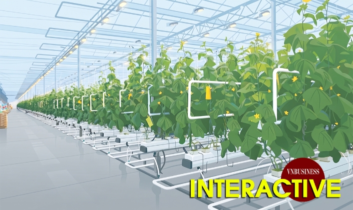 Hình thành hộ chiếu số cho sản phẩm HTX và nông sản Việt