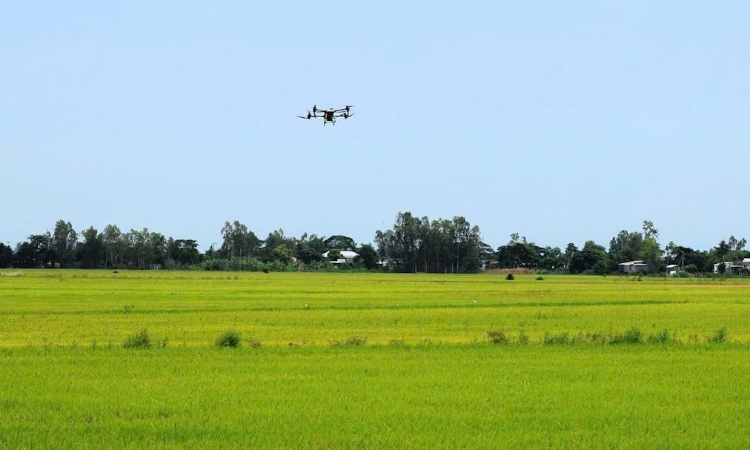 Khoa học công nghệ ‘ươm’ tài sản trí tuệ cho HTX trên vùng đất Óc Eo