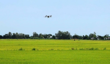 Khoa học công nghệ ‘ươm’ tài sản trí tuệ cho HTX trên vùng đất Óc Eo